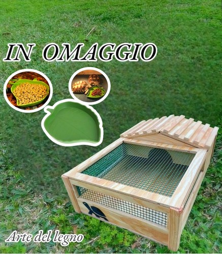 Terrario con casetta per - terrario,