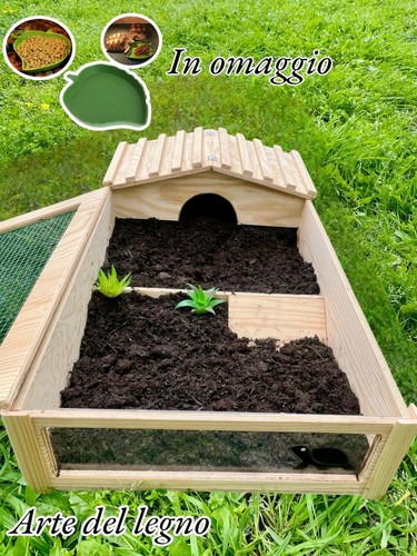 Terrario per tartarughe - terrario,