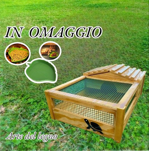 Terrario casetta per - terrario,