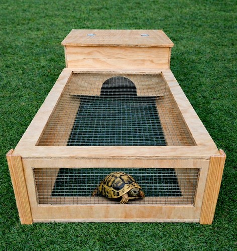 Terrario per tartarughe - per,