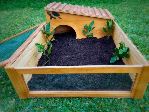 Terrario casetta con lato - casetta,